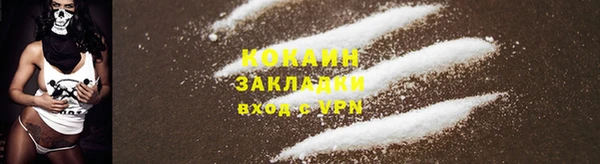 стафф Абинск
