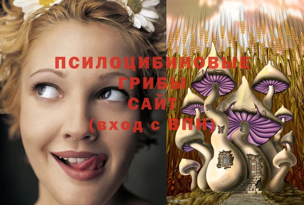 гашик Вязники