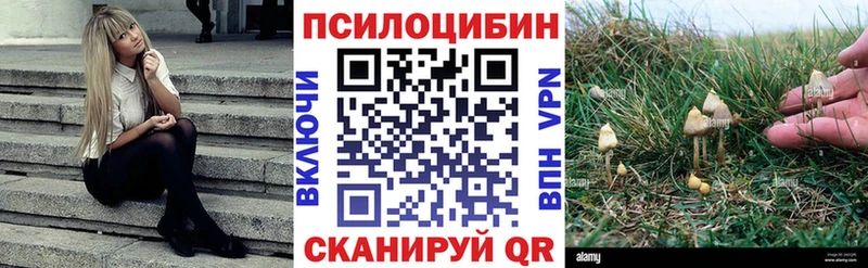 Галлюциногенные грибы Psilocybe  OMG сайт  Пойковский 
